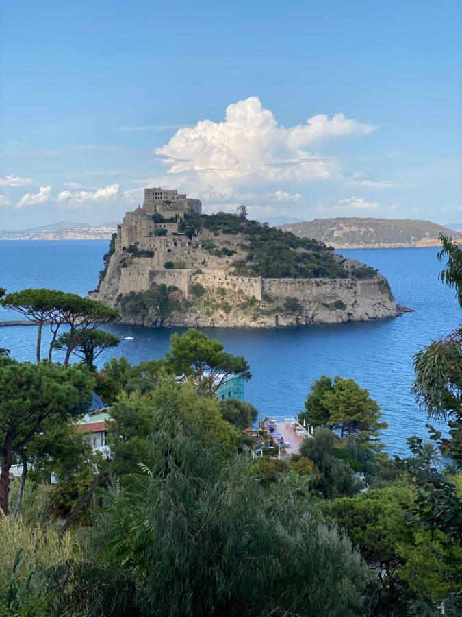 Vittoria Colonna Luxury B&B Ischia Luaran gambar